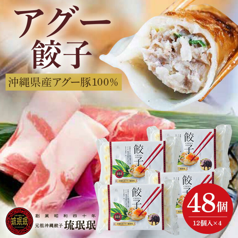 【ふるさと納税】【琉みんみん】沖縄県アグー餃子　4パック 　48個入り