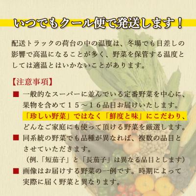 ふるさと納税 時津町 【発送月固定定期便】厳選野菜セット 果物付き 15品目 詰め合わせ (時津町)全12回 |  | 03