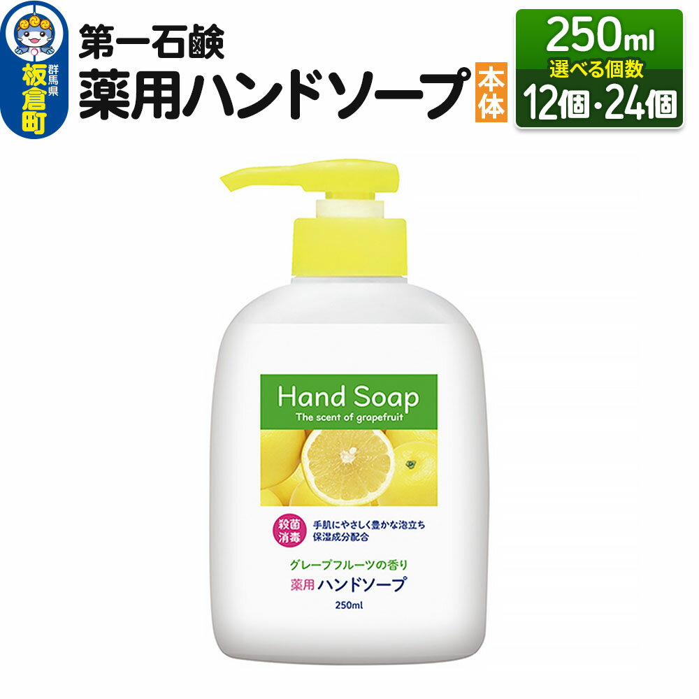 【ふるさと納税】第一石鹸 薬用ハンドソープ 本体 250ml（選べる個数：12個・24個）