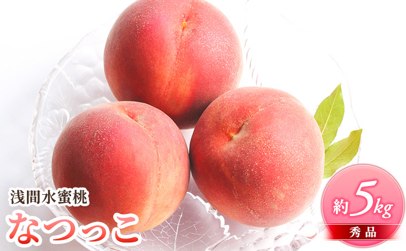 桃 先行予約 浅間水蜜桃 なつっこ 約5kg 秀品 フルーツ 果物 白桃 甘い 冷蔵