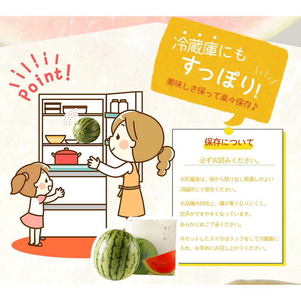 紀州和歌山産 小玉スイカ「ひとりじめ」 1玉【2025年6月上旬頃～2025年6月下旬頃に順次発送】【UT85】　XF91087_イメージ4
