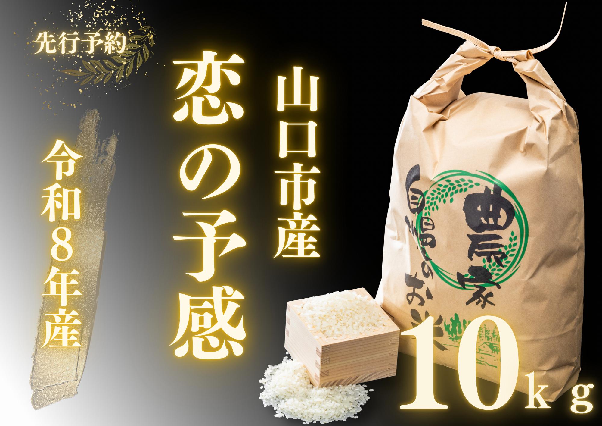 
                  D567 農家直送！山口市産新米「恋の予感」精米10kg
                
