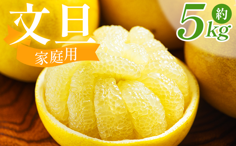 文旦 5kg 家庭用 混合（L〜2Lサイズ） 文旦 高知 訳あり ぶんたん ブンタン わけあり 5キロ 果物 柑橘 フルーツ 香南市産 高知県 nm-0008