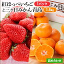 【ふるさと納税】【2025年1月中旬より順次発送】紅ほっぺいちご 1パックと三ヶ日みかん青島 1.5kg 詰合せ【配送不可：離島】　【浜松市】　お届け：2025年1月中旬～2025年1月下旬