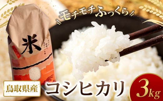 
                  米 コシヒカリ 令和7年産 鳥取県産 3kg【こしひかり 米 お米 白米 2025年産 ごはん ご飯 弁当 おにぎり おむすび 国産 人気 おすすめ 鳥取県 琴浦町 送料無料】
                