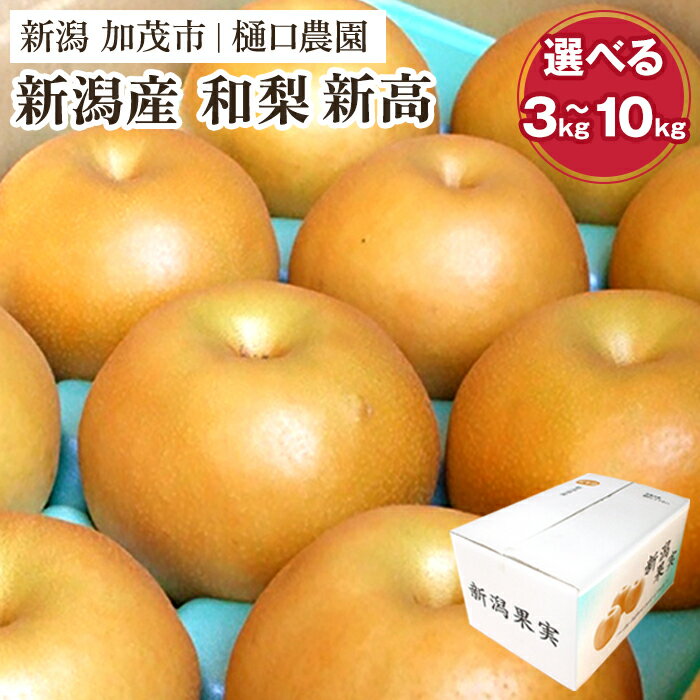 【ふるさと納税】【2025年先行予約】和梨 新高 選べる「3kg」or「5kg」or「10kg」《10月上旬から順次発送》果物 なし にいたか 梨 フルーツ 新鮮 ジューシー 産地 加茂市 樋口農園