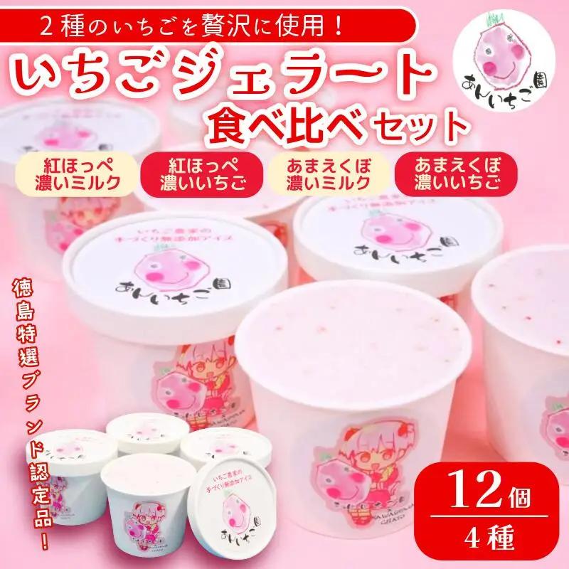 ジェラート 12個 いちご 4種