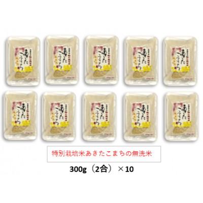 ふるさと納税 大潟村 令和7年産特別栽培米あきたこまち無洗米3kg【300g(2合)×10個】使いやすくプレゼントにも便利