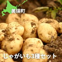 【ふるさと納税】【令和7年産予約受付！】じゃがいも 3種セット 9kg 詰め合わせ 送料無料 | メークイン キタアカリ 野菜 北海道 北海道美瑛 北海道美瑛町 美瑛町 美瑛 男爵 野菜 美瑛産 北海道産 黒木農場　[013-63]