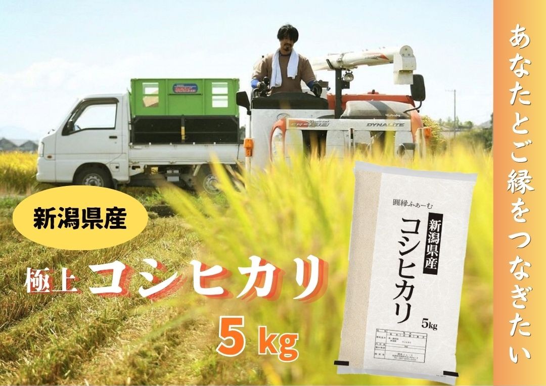 【令和7年産】新潟県阿賀野市産 コシヒカリ 5kg 米 こめ コメ 白米 精米 3D14015