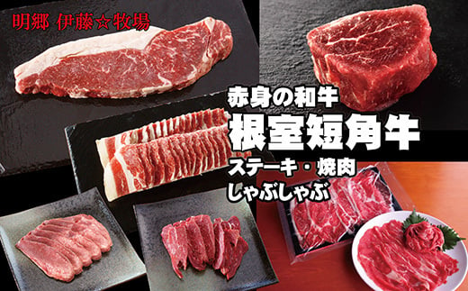 
E-13001 【北海道根室産】短角牛ステーキ・焼肉・しゃぶしゃぶ
