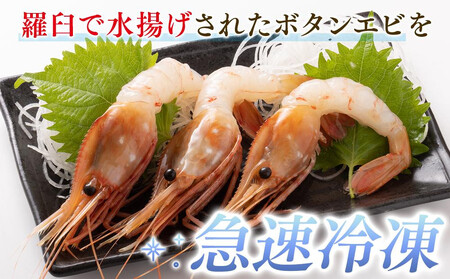知床羅臼ボタンエビ(大) 500g 生産者 支援 応援