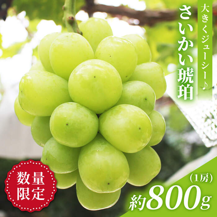 【ふるさと納税】【先行予約】さいかい琥珀（雄宝）約800g（1房）＜山田果樹園＞ [CCX005] ぶどう ブドウ シャインマスカット 大粒 果物 フルーツ 贈答 ギフト マスカット