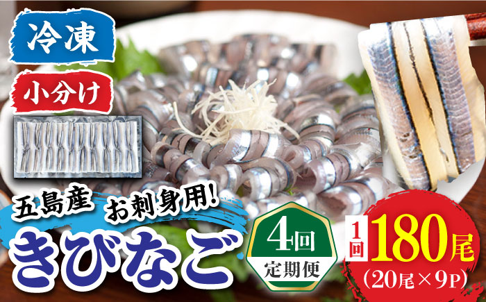 【4回定期便】五島産 刺身用きびなご 20尾×9P 五島市/鯛福丸水産 [PDP016]