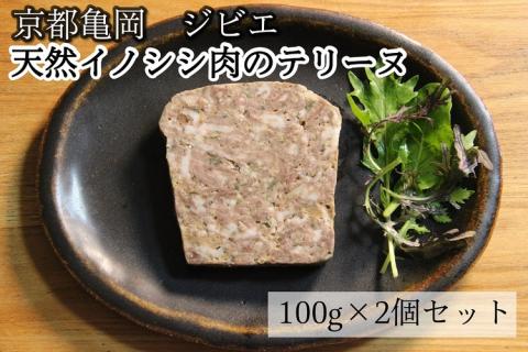 【京都亀岡 ジビエ】天然 イノシシ肉 の テリーヌ2個セット 【こだわり抜いた至極の味/プレゼントや自分へのご褒美に】ふるさと納税限定品 ※着日指定不可 ※2024年1月上旬～4月下旬頃に順次発送予定