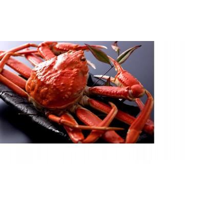 ふるさと納税 京丹後市 【厳選】茹で松葉蟹 L(600g級)×1杯　★11月15日頃〜12月お届け