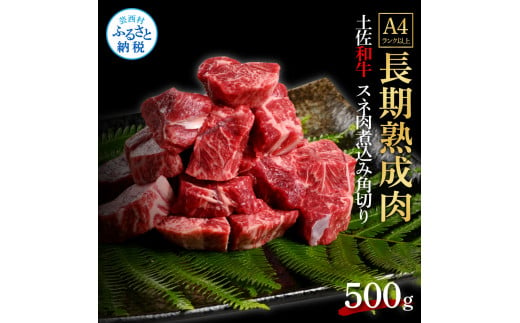 【CF-R5cbs】 エイジング工法熟成肉土佐和牛特選スネ肉 煮込み角切り500g（冷凍）