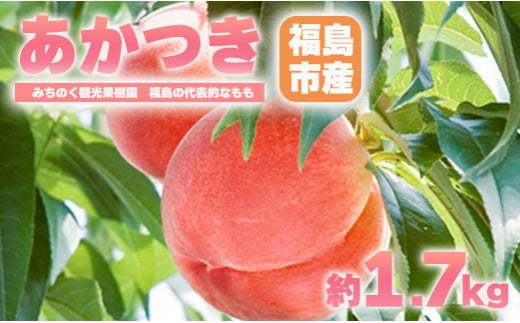 No.2343【先行予約】みちのく観光果樹園 もも「あかつき」贈答用　約1.7㎏【2024年発送】