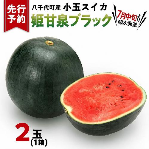 【先行予約 2027年7月中旬以降発送開始】 小玉スイカ 姫甘泉ブラック 1箱（３～5玉入り）八千代町産 黒皮 すいか スイカ 西瓜 小玉 果物 フルーツ お取り寄せ 産地直送 茨城県 [AV012ya]