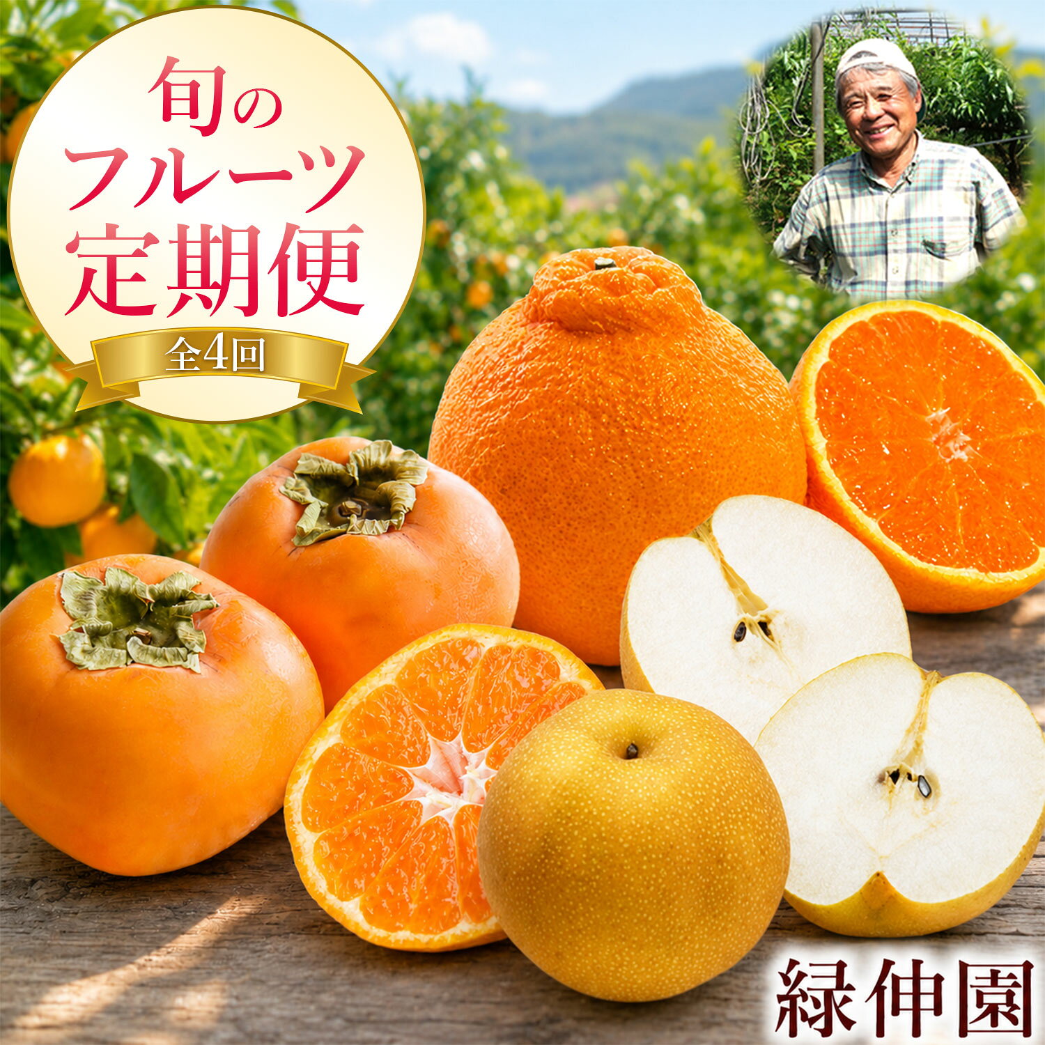 【ふるさと納税】【先行予約】『緑伸園』全4回 旬のフルーツ 定期便 旬の梨 3kg みかん 5kg 柿 2.5kg 不知火 2.5kg 頒布会 《2026年8月中旬-2027年1月下旬頃出荷》 期間限定 予約受付中 熊本県玉名郡玉東町産 果物 スイーツ フルーツ デザート