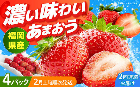 【全2回定期便】福岡産【春】 あまおう 4パック 果物 苺 いちご[ABET026]