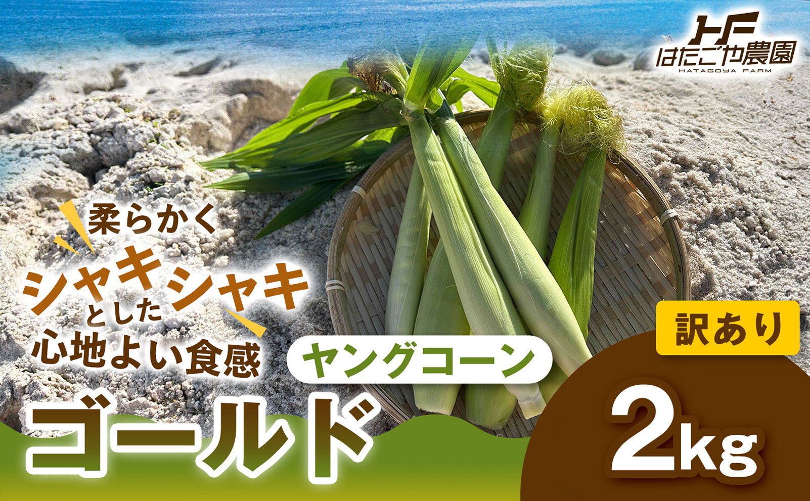 ［ご家庭用におすすめ］訳アリ 潮風ベイビー 2kg ヤングコーン ゴールド ベビーコーン グリル 付け合わせ野菜 BBQ 焼き野菜 和歌山県 白浜町 304018_ET12