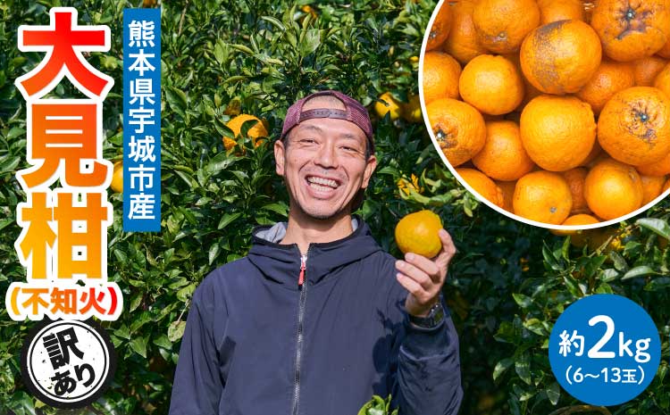先行予約 熊本大見柑 (不知火) 訳あり 2kg (6～13玉) 【2026年2月上旬～2月下旬頃発送予定】 しらぬい みかん 蜜柑 柑橘 国産 九州 熊本 宇城市産 【株式会社la Nui.】