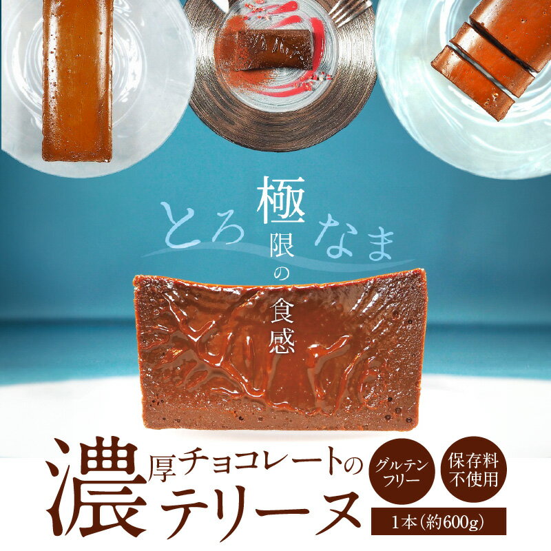 【ふるさと納税】【テリーヌ専門店L】濃厚 チョコレート テリーヌ 600g 手作り グルテンフリー 保存料不使用 ショコラ 1年以上研究を重ねて完成 甘すぎない なめらか 安心 安全 スイーツ デザート おやつ 冷凍 愛知県 碧南市 お取り寄せ お取り寄せスイーツ 送料無料