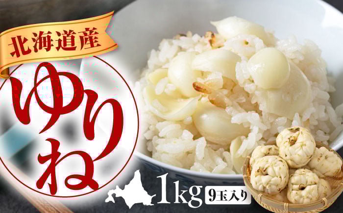 
            【先行予約】ゆり根 1kg（9玉・ギフト箱入り）※2025年11月中旬以降順次発送《喜茂別町》　【Aコープようてい】 ユリ根 ユリネ 北海道 季節の野菜 冬野菜 ギフト プレゼント 産地直送
          