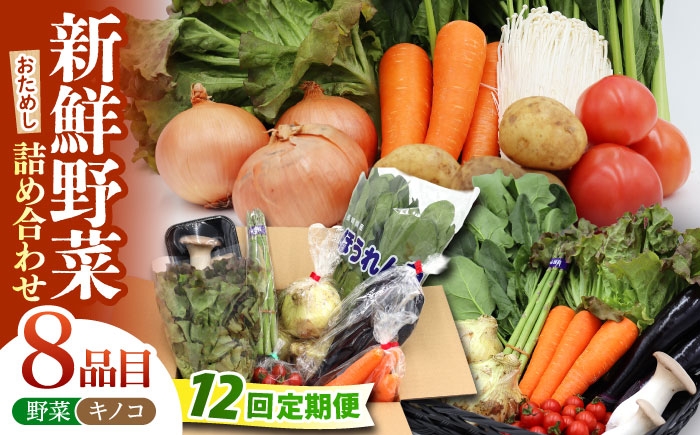 
                  【12回定期便】お試し野菜セット 8品目 詰め合わせ / 野菜 やさい ヤサイ 旬 新鮮 / 南島原市 / 吉岡青果 [SCZ030]
                