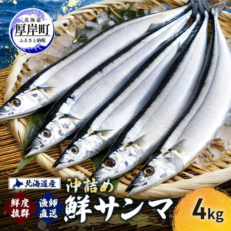 【ふるさと納税】サンマ 鮮度抜群 北海道産 漁師直送 沖詰め 鮮サンマ 4kg 【豊伸協同組合】[ さんま 秋刀魚 鮮魚 焼き魚 刺身 新鮮 北海道産 生さんま 生サンマ ] 　お届け：2026年9月中旬～11月初旬まで