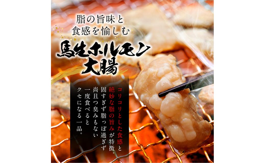 国産 馬肉 生ホルモン 焼肉用 (煮込みもOK) 約700g 馬肉 冷凍