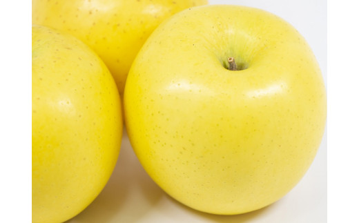 【先行予約】えらべる りんごギフト シナノゴールド 10kgセット