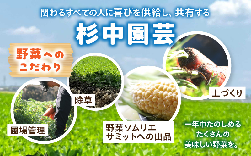 絶品里芋　～天晴れ～　6kg・S068-170