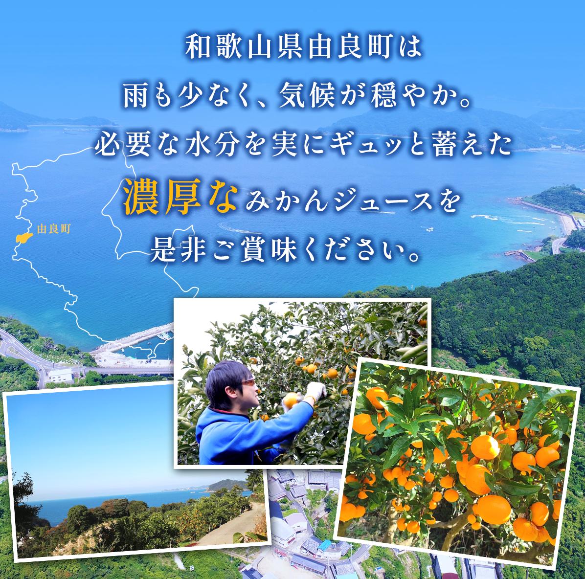 無添加 ストレート果汁！ みかんジュース 1L×1本【fmlb018】