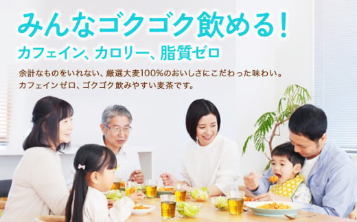 【2回定期便】やかんの麦茶 from 爽健美茶 PET 650ml 24本×2回 合計48本 2ヶ月【コカコーラ】 日本茶 お茶 麦茶 ペットボトル カフェインゼロ 常温 常温 送料無料 こども 美容