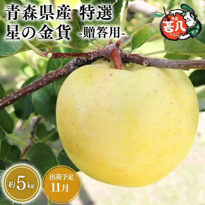 りんご 特選　星の金貨 5kg 【hi-0058-047】