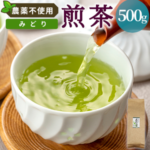農薬不使用！煎茶 みどり 500g 常磐園 美濃白川茶 日本茶 緑茶 煎茶 茶葉 お茶 一番茶 春摘み リーフ 国産 お試し 岐阜県 東白川村
