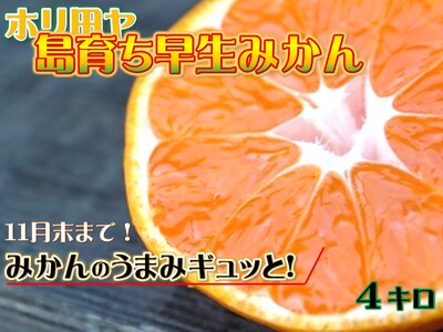 【受付は11月末まで！】ホリ田ヤ 島育ち早生みかん サイズばら 4キロ [KB00940]