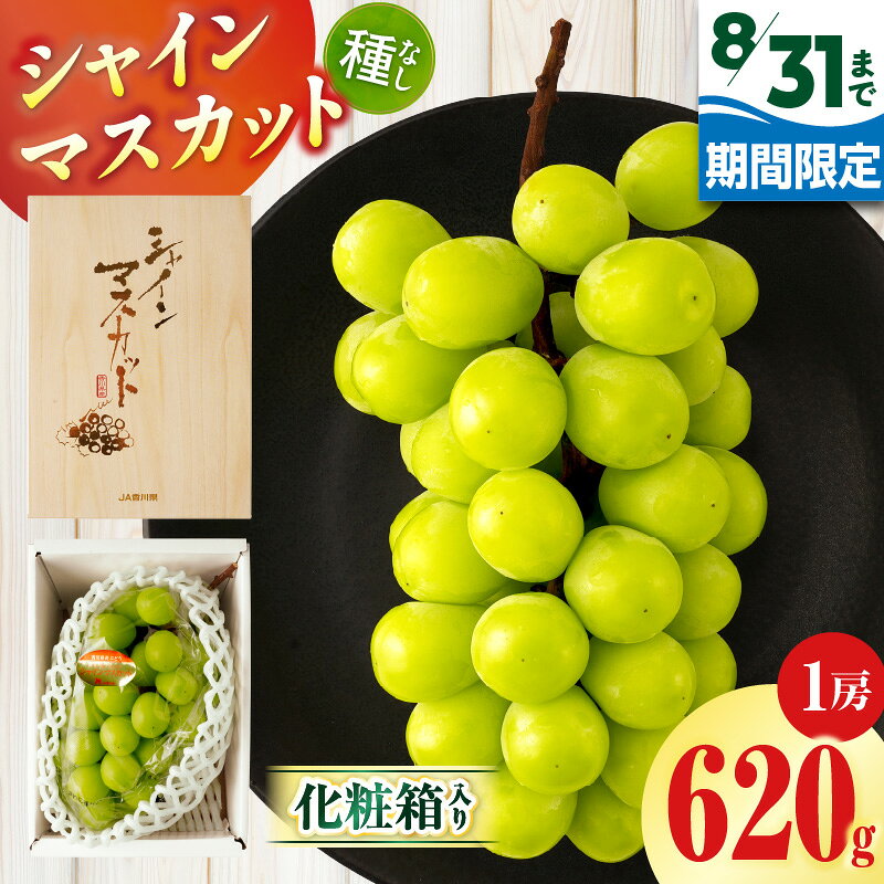 【ふるさと納税】【8月31日（夏休み）までの期間限定!!】シャインマスカット　1房（約620g）化粧箱入り | シャインマスカット マスカット ぶどう ブドウ 葡萄 果物 フルーツ くだもの 国産 ギフト 旬 人気 種なし 糖度が高い 季節限定 おすすめ 旬の果物 香川 香川県 三木町