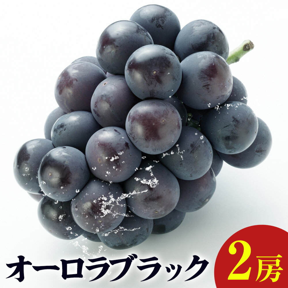 【ふるさと納税】オーロラブラック 2房入り《9月上旬-9月中旬頃出荷》岡山県 笠岡市 石丸葡萄農園 葡萄 ぶどう フルーツ 果物