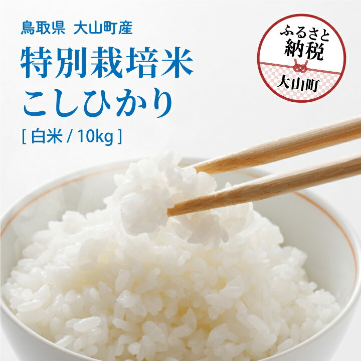 【ふるさと納税】 MR-18　減農薬・減化学肥料　特別栽培米こしひかり　10kg（白米）新米 米 料理用 家庭用 鳥取県 鳥取県産 大山町 大山 大入り 料理 国産 鳥取 コシヒカリ こしひかり 大山産