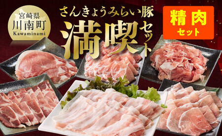 【令和7年7月発送】【いろんな料理にアレンジできちゃう満喫コース】（精肉）さんきょうみらい豚満喫セット【肉 豚 豚肉 国産豚肉 九州産豚肉 宮崎県産豚肉バラ 肩ロース ウデ モモ 焼肉 生姜焼き ポーク セット ぶたしゃぶ さんきょうみらい豚 大人気】