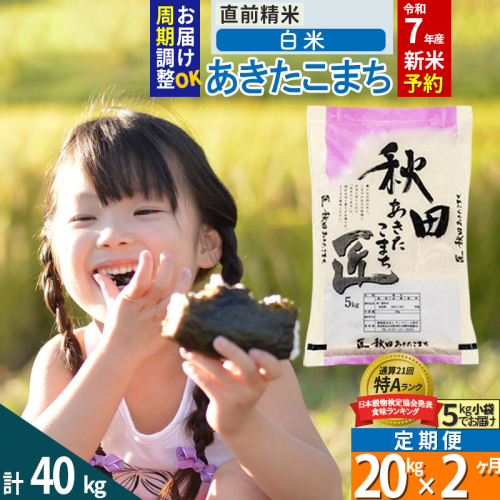 【白米】＜令和7年産 新米予約＞ 《定期便2ヶ月》秋田県産 あきたこまち 20kg (5kg×4袋)×2回 20キロ お米  新米