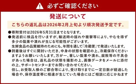 【 食べ比べ 】ソムリエ トマト 1.3kg と ソムリエ ミニトマト プラチナ 1kg の セット 合計2.3kg 2種 とまと 野菜 やさい 熊本県産 国産   【2026年2月上旬発送開始】