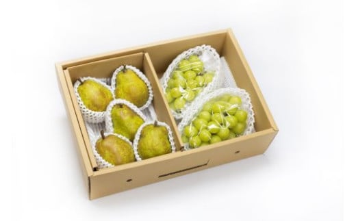 08-06-007　シャインマスカットと西洋梨詰合せ約2.5kg