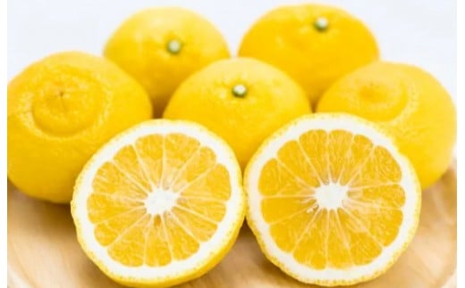 
                  贈答用 森本農園の手選別 はるか 約5kg 和歌山県産 L～2Lサイズ［北海道・沖縄・離島配送不可］［RN154］
                