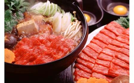 【定期便3回】GI認証取得 くまもとあか牛 すき焼き用 500g