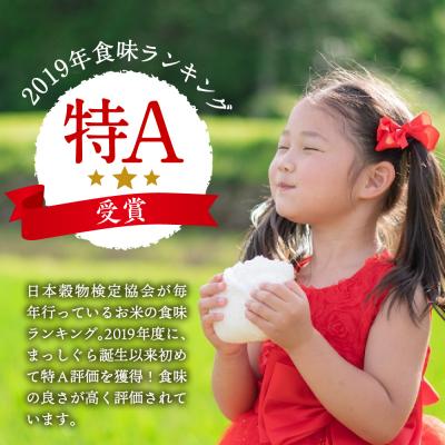 ふるさと納税 五所川原市 【2月発送】無洗米 10kg 青森県産 まっしぐら 令和7年産米(精米) |  | 01