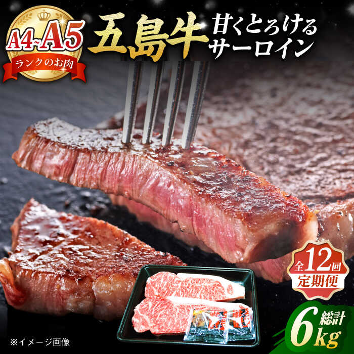 【ふるさと納税】【全12回定期便】五島牛 サーロインステーキ 250g×2枚 五島市/肉のマルヒサ [PCV029] 国産牛 牛肉 ブランド牛 A4 A5